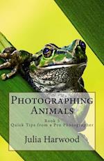 Photographing Animals