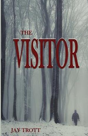 The Visitor