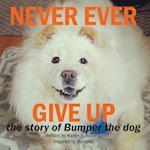 Never Ever Give Up, the Story of Bumper the Dog.