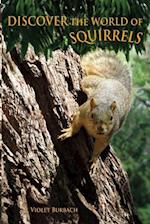 Discover the World of Squirrels