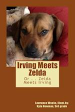 Irving Meets Zelda