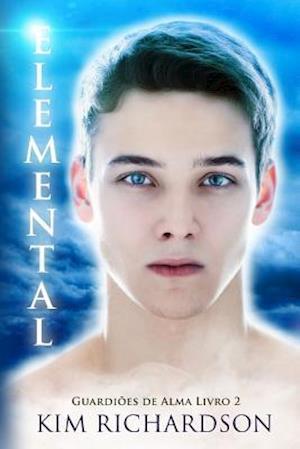 Elemental, Guardioes de Alma Livro 2