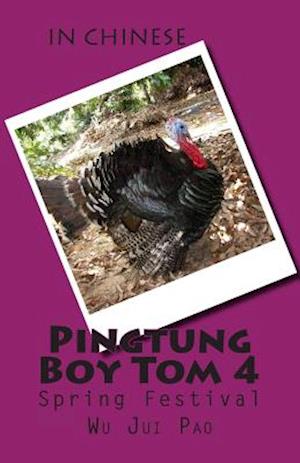 Pingtung Boy Tom 4