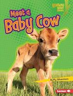 Meet a Baby Cow