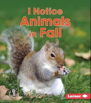 I Notice Animals in Fall