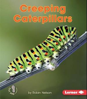 Creeping Caterpillars