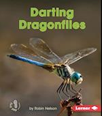 Darting Dragonflies