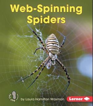 Web Spinning Spiders