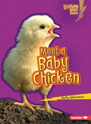 Meet a Baby Chicken