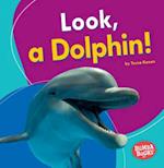 Look, a Dolphin!