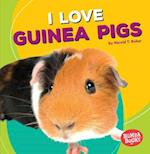 I Love Guinea Pigs