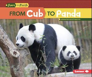 From Cub to Panda