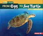 From Egg to Sea Turtle