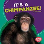 It's a Chimpanzee!