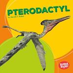 Pterodactyl