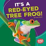 It's a Red-Eyed Tree Frog!