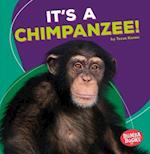 It's a Chimpanzee!