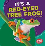 It's a Red-Eyed Tree Frog!