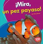 ¡mira, Un Pez Payaso! (Look, a Clown Fish!)