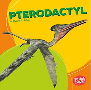 Pterodactyl