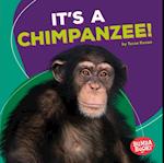 It's a Chimpanzee!
