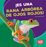 ¡es Una Rana Arbórea de Ojos Rojos! (It's a Red-Eyed Tree Frog!)