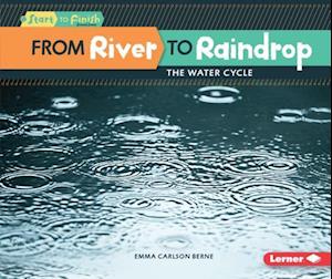 From River to Raindrop