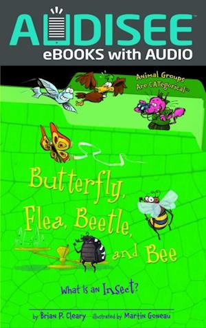 Butterfly, Flea, Beetle, and Bee