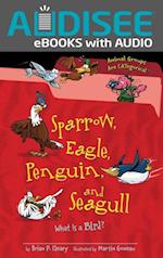 Sparrow, Eagle, Penguin, and Seagull