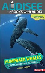 Humpback Whales