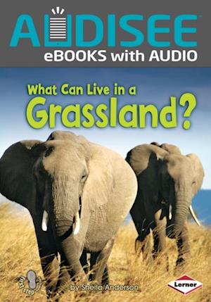 What Can Live in a Grassland?