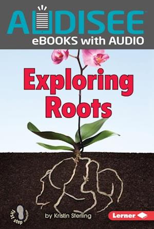 Exploring Roots