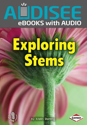 Exploring Stems