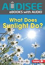 What Does Sunlight Do?