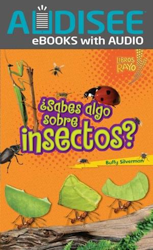 ¿Sabes algo sobre insectos? (Do You Know about Insects?)