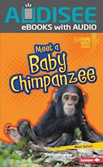 Meet a Baby Chimpanzee