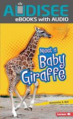 Meet a Baby Giraffe