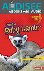 Meet a Baby Lemur