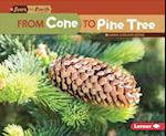 From Cone to Pine Tree