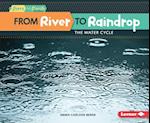 From River to Raindrop