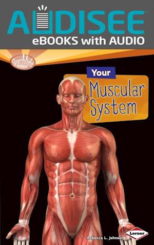 Your Muscular System