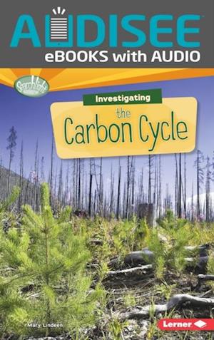 Investigating the Carbon Cycle