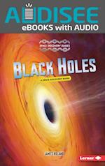 Black Holes