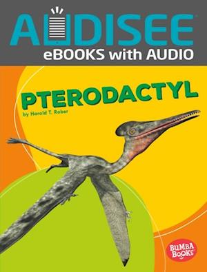 Pterodactyl