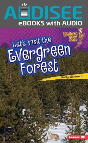 Let's Visit the Evergreen Forest