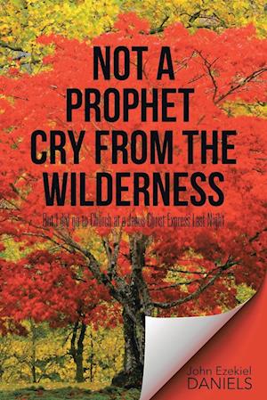 Not a Prophet Cry from the Wilderness