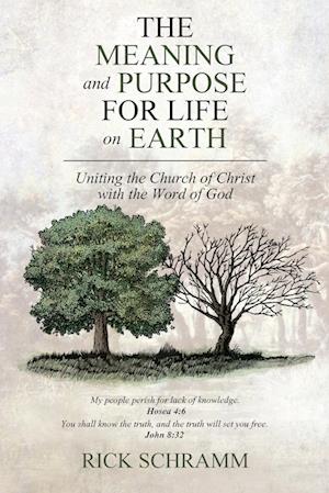 The Meaning and Purpose for Life on Earth