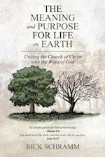 Meaning and Purpose for Life on Earth