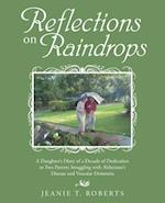 Reflections on Raindrops