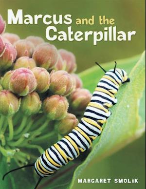 Marcus and the Caterpillar